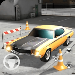 趣味车库停车3d游戏