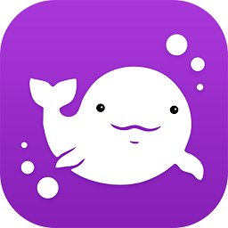 江小豚商户版app