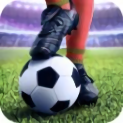 足球锦标赛完整版