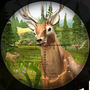 鹿射击游戏2020