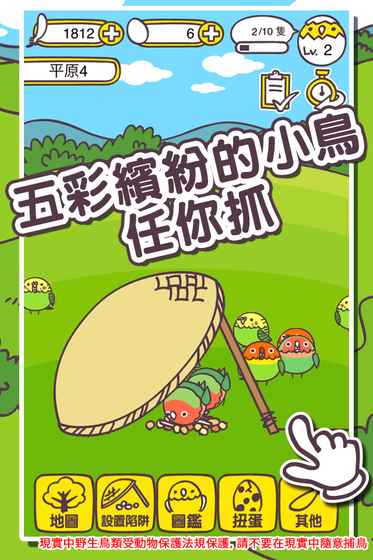 抓小鸟