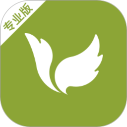 菩提果app护理师