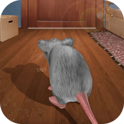 疯狂老鼠王中文版