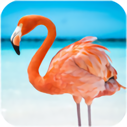 火烈鸟模拟器手机版