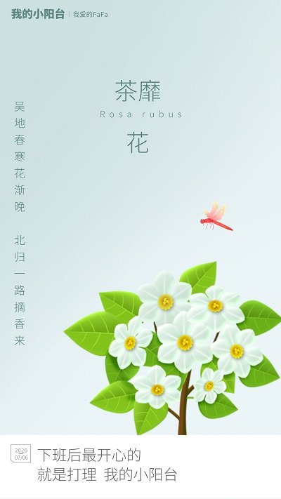 我的小阳台游戏下载